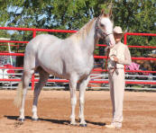 Lynne and JR