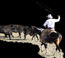 Waland Heeling