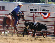 Newt Roping